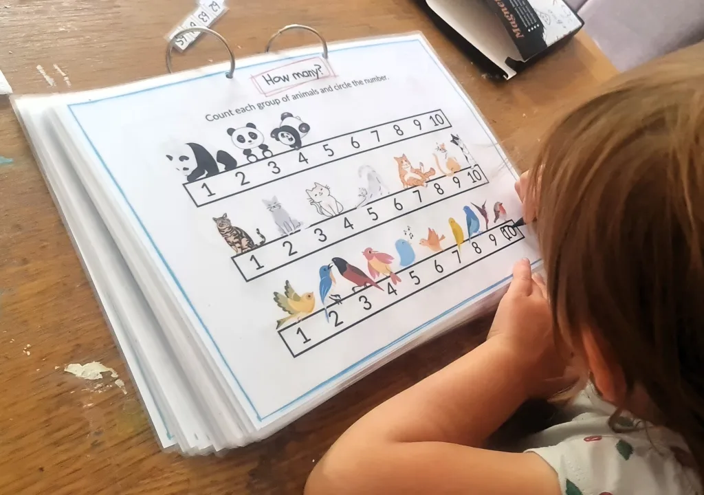 Counting - Maths Activity Book