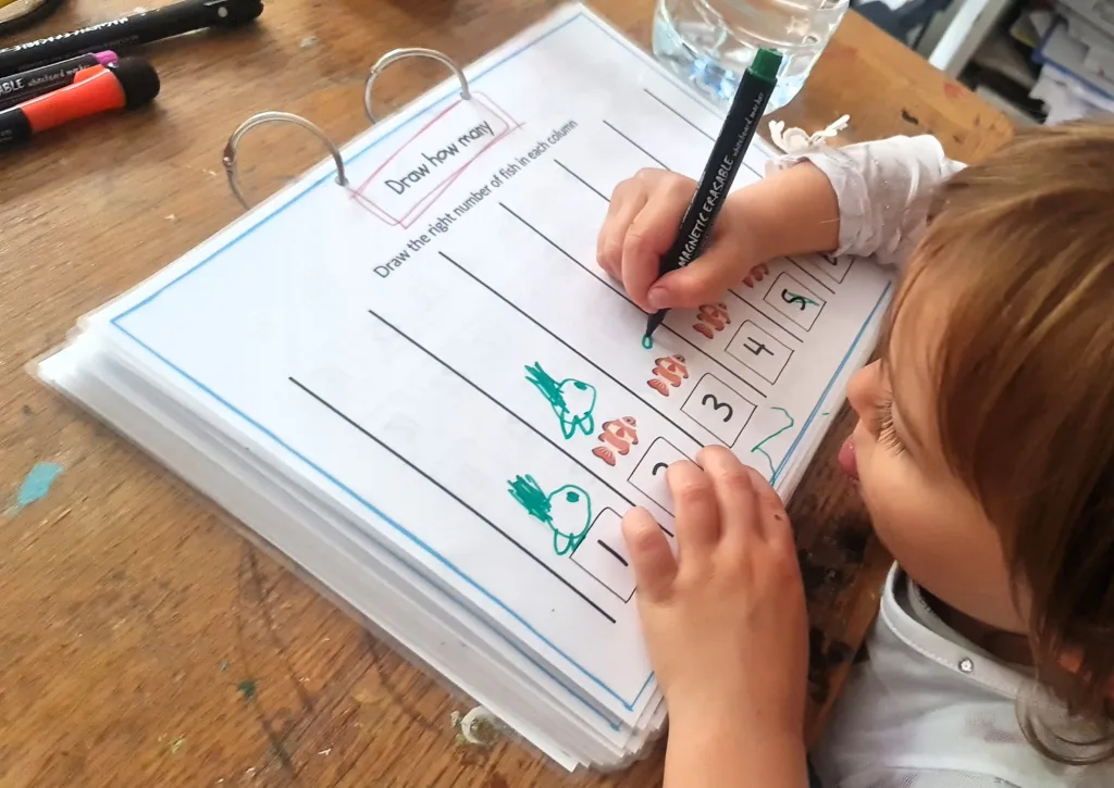 Drawing more - maths activity book