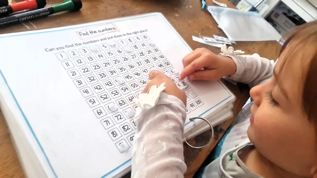 Find the numbers interactive - maths activity book