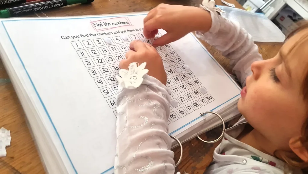 Find the numbers interactive - maths activity book