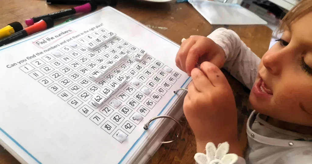 Find the numbers interactive - maths activity book