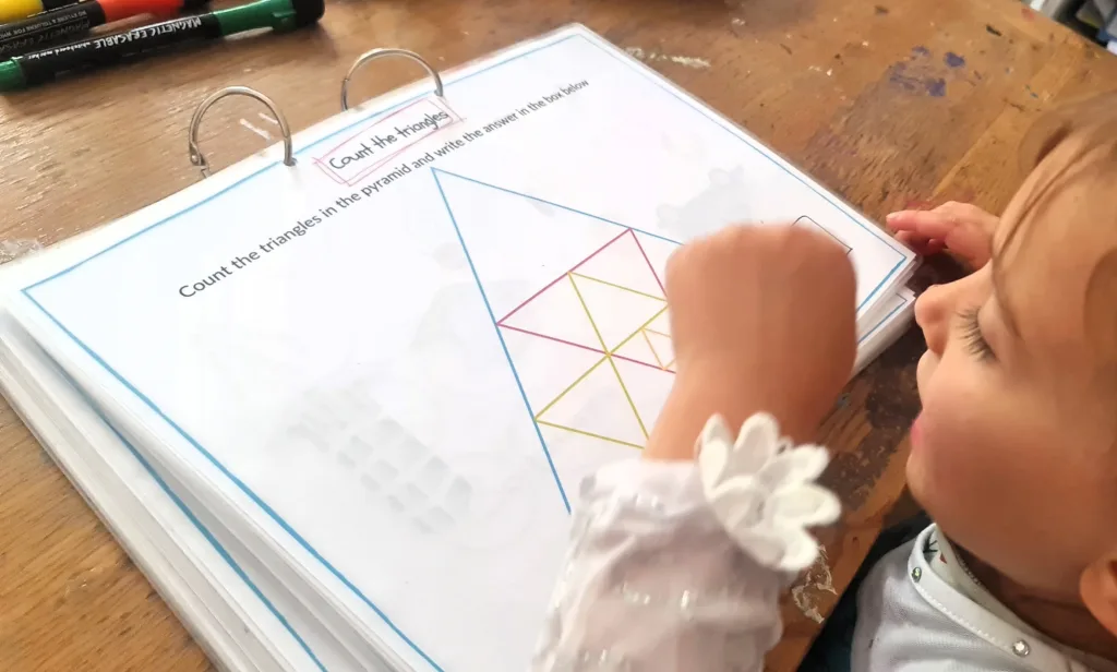 sorting shapes - maths activity book